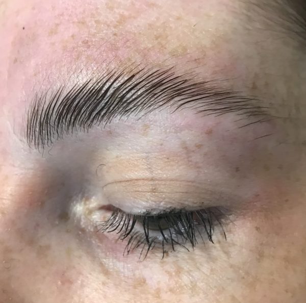 Brow Lamination Training